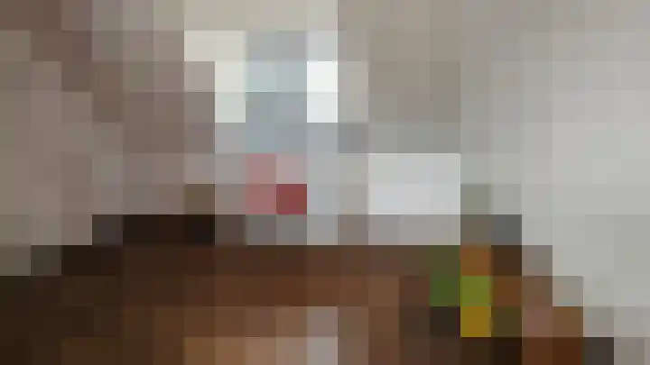 Zuideinde 5 Westzaan thumbnail 36
