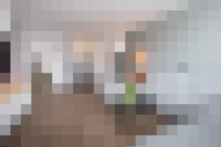 Zuideinde 5 Westzaan thumbnail 4