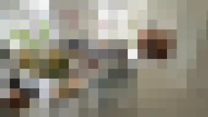 Zuideinde 5 Westzaan thumbnail 4
