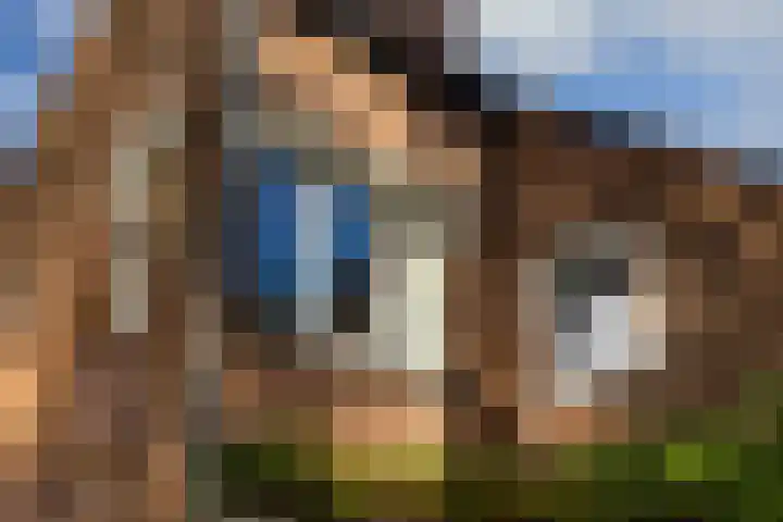 Zuideinde 5 Westzaan thumbnail 9