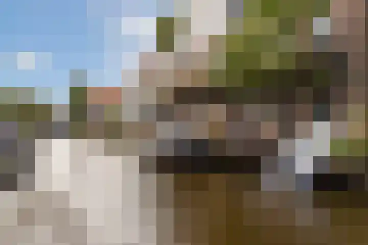 Zuideinde 53 E Westzaan thumbnail 16