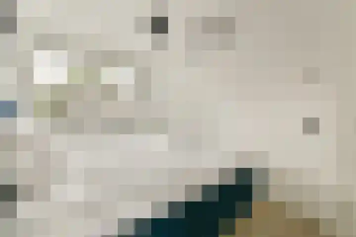 Zuideinde 53 E Westzaan thumbnail 21