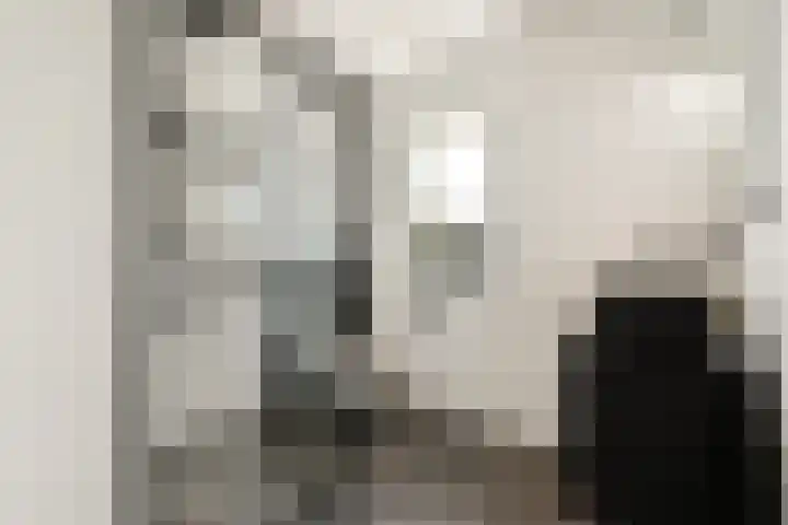 Zuideinde 53 E Westzaan thumbnail 23