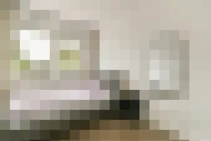 Zuideinde 53 E Westzaan thumbnail 29