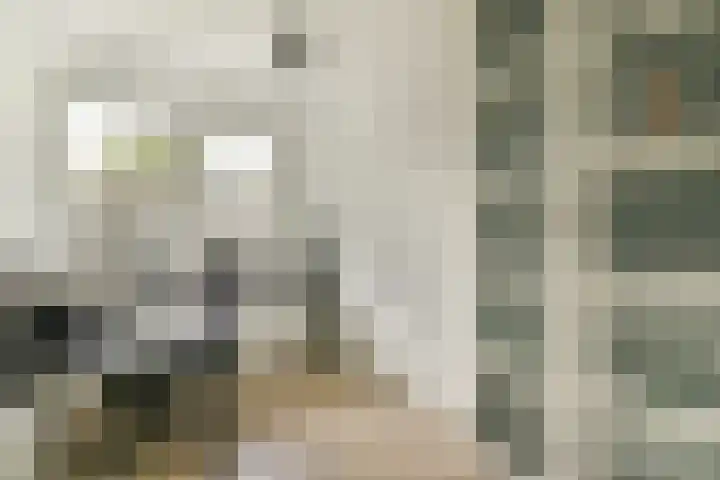 Zuideinde 53 E Westzaan thumbnail 31