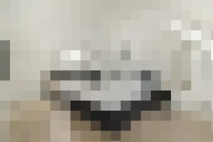 Zuideinde 53 E Westzaan thumbnail 32