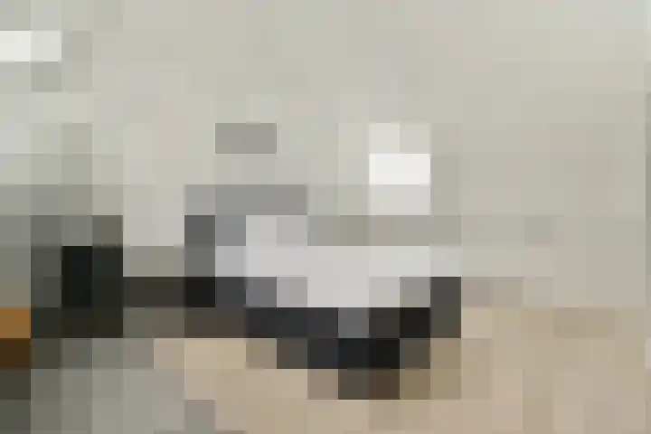Zuideinde 53 E Westzaan thumbnail 33