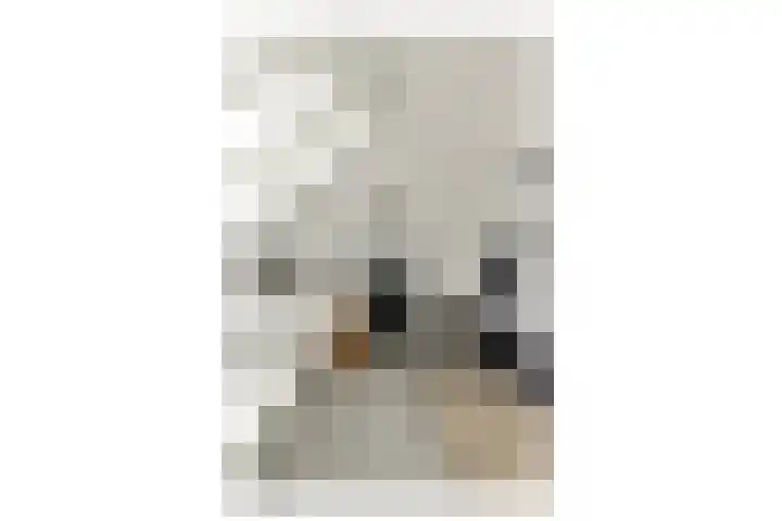 Zuideinde 53 E Westzaan thumbnail 34