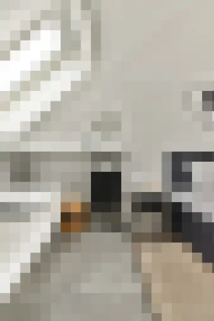 Zuideinde 53 E Westzaan thumbnail 35