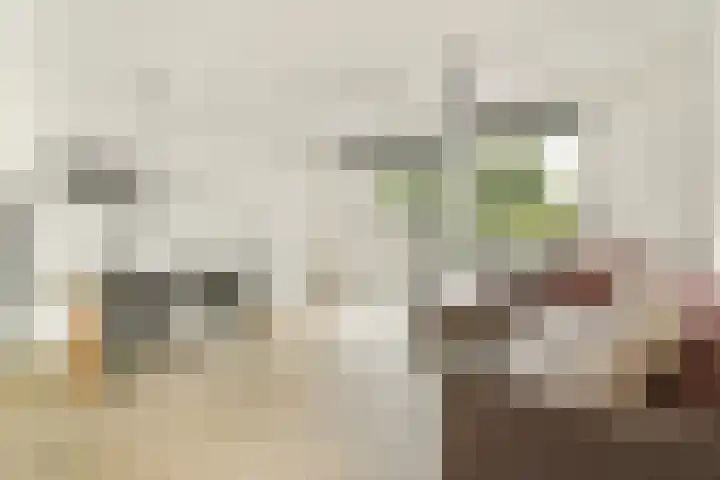 Zuideinde 53 E Westzaan thumbnail 4