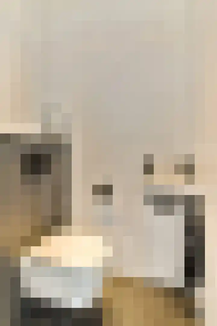 Zuideinde 53 E Westzaan thumbnail 6