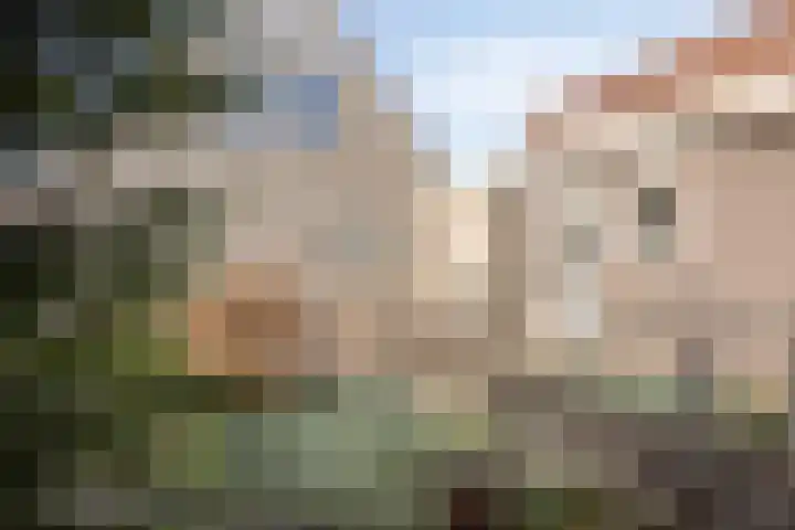 Zuideinde 59 Oostzaan thumbnail 28
