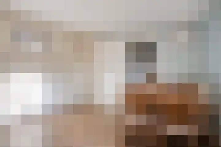 Zuideinde 59 Oostzaan thumbnail 31