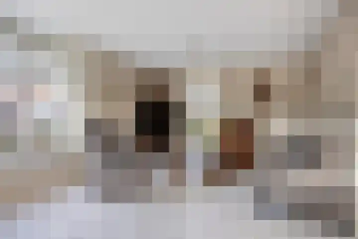 Zuideinde 59 Oostzaan thumbnail 7