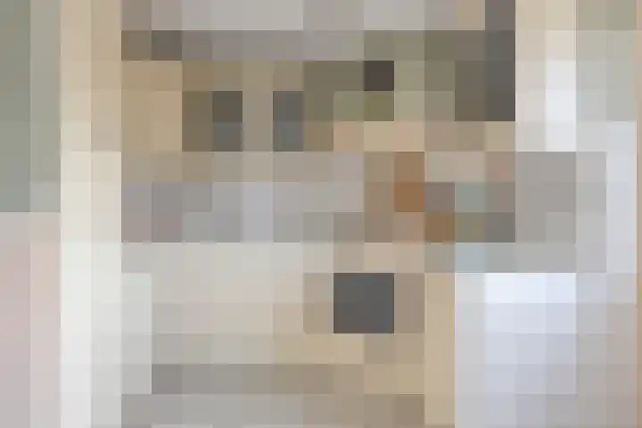 Zuideinde 59 Oostzaan thumbnail 9