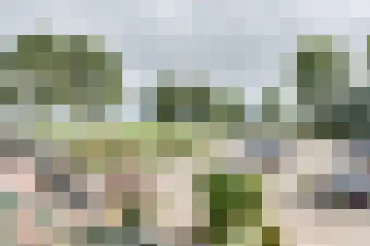Zuideinde 77 Volendam thumbnail 36
