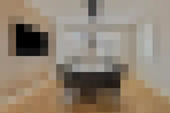 Zuideinde 79 D Westzaan thumbnail 10