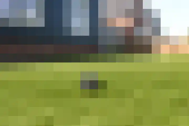 Zuideinde 79 D Westzaan thumbnail 19