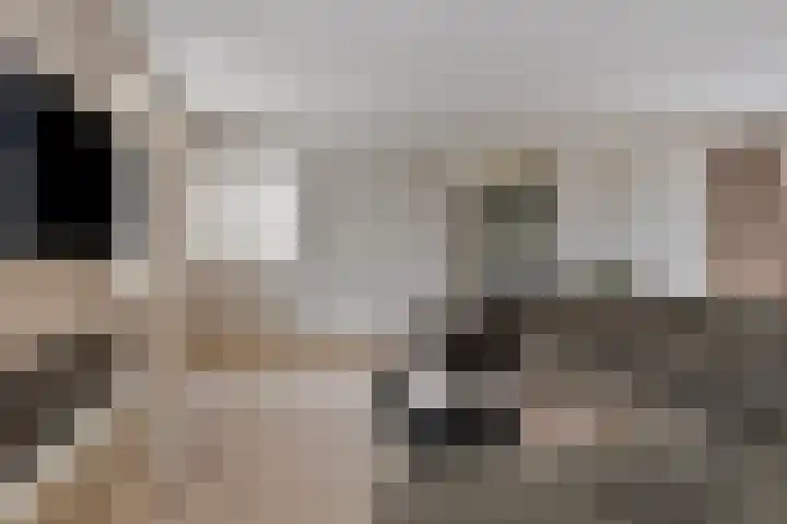Zuideinde 79 D Westzaan thumbnail 22