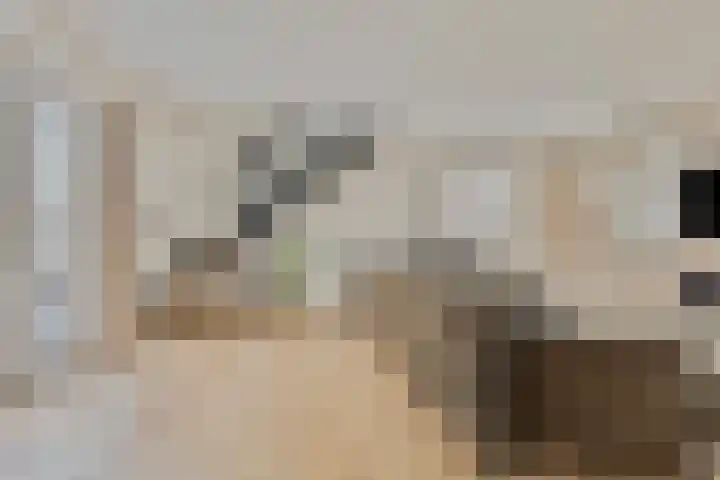 Zuideinde 79 D Westzaan thumbnail 24