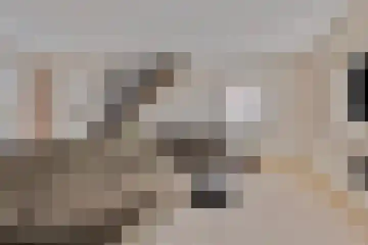 Zuideinde 79 D Westzaan thumbnail 4