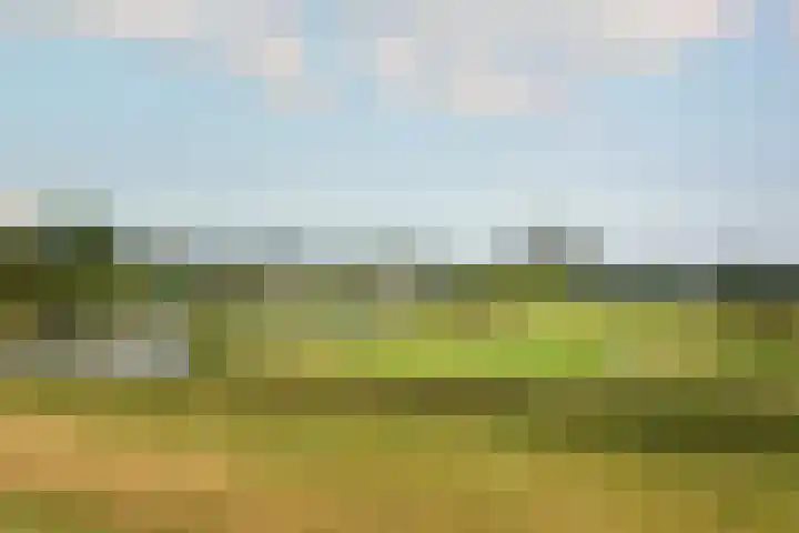 Zuideinde 79 D Westzaan thumbnail 50