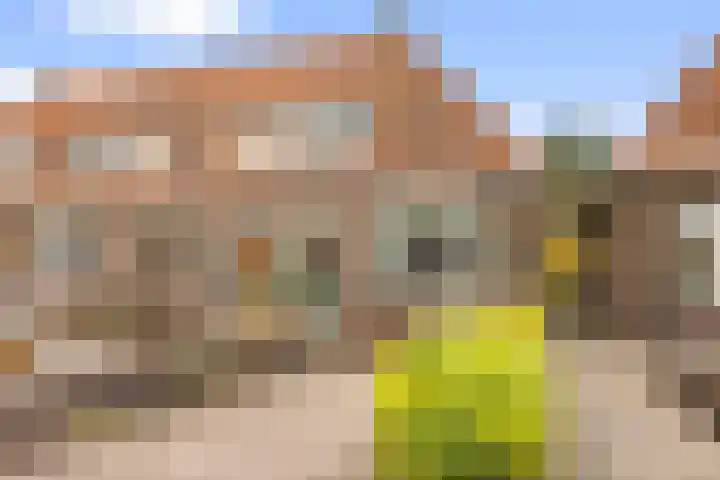 Zuideinde 88 Oostzaan