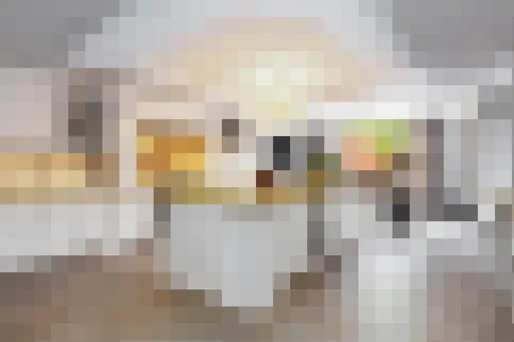 Zuideinde 89 Oostzaan thumbnail 14