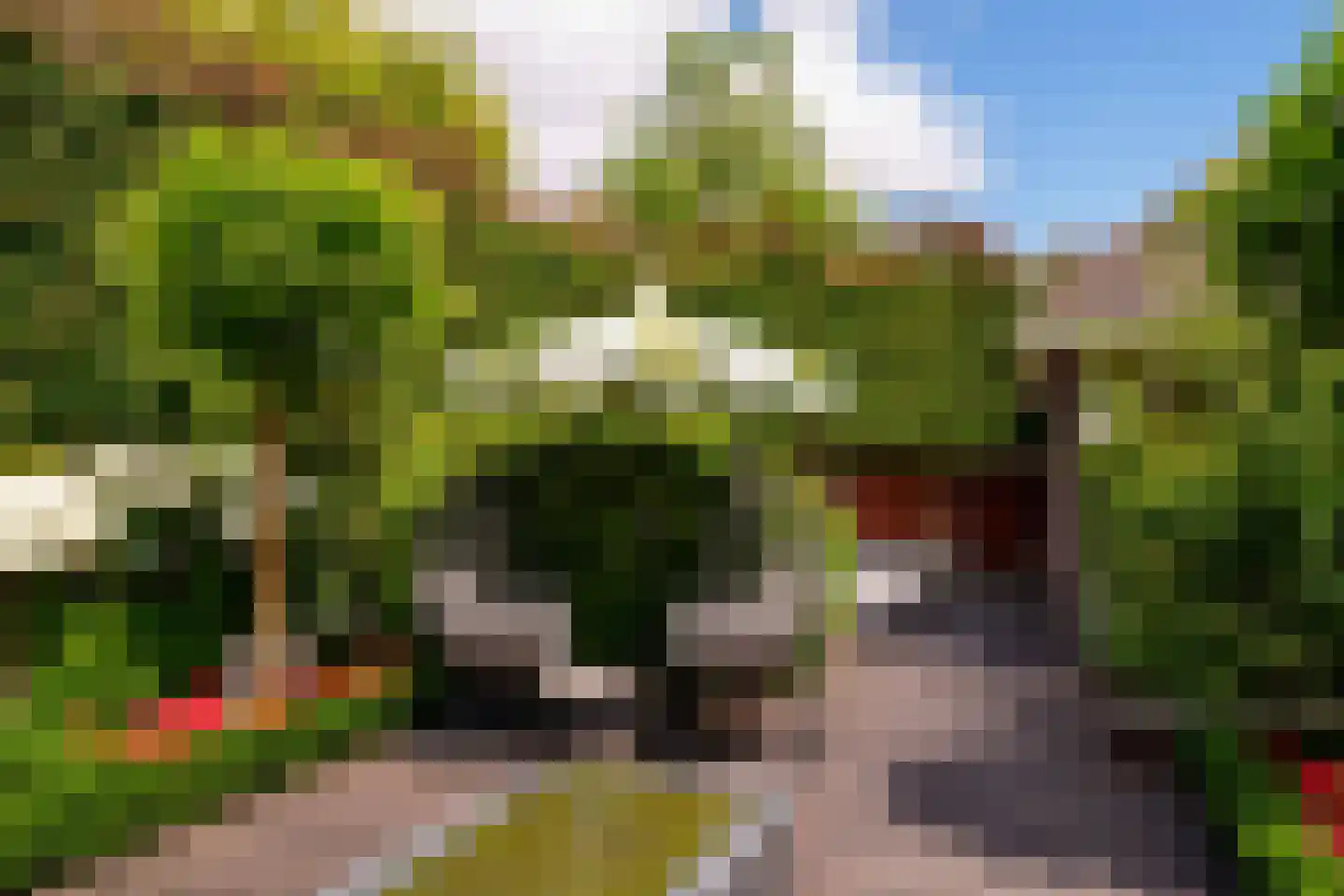 Zuideinde 89 Oostzaan thumbnail 21