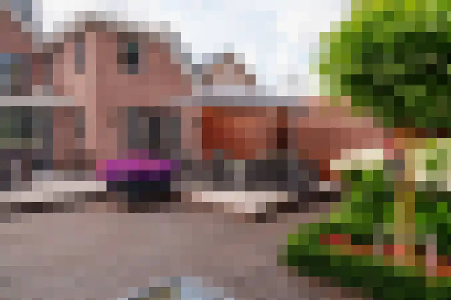 Zuideinde 89 Oostzaan thumbnail 22