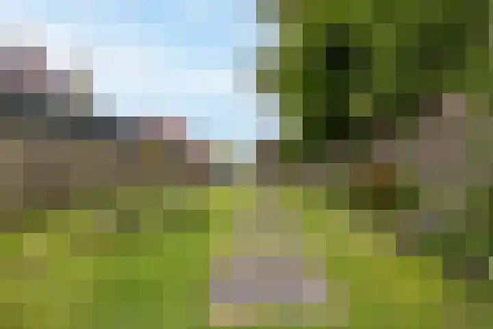 Zuideinde 97 Westzaan thumbnail 18