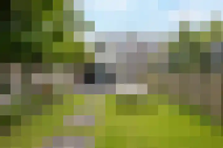 Zuideinde 97 Westzaan thumbnail 21
