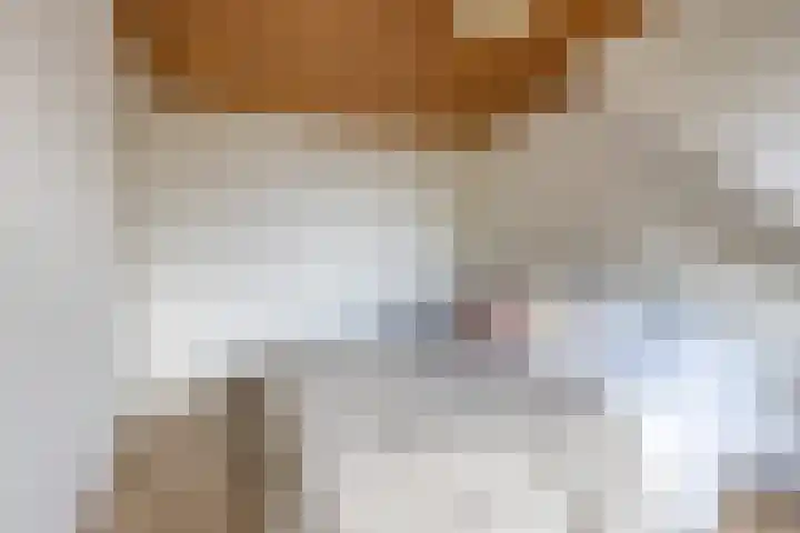 Zuideinde 97 Westzaan thumbnail 25