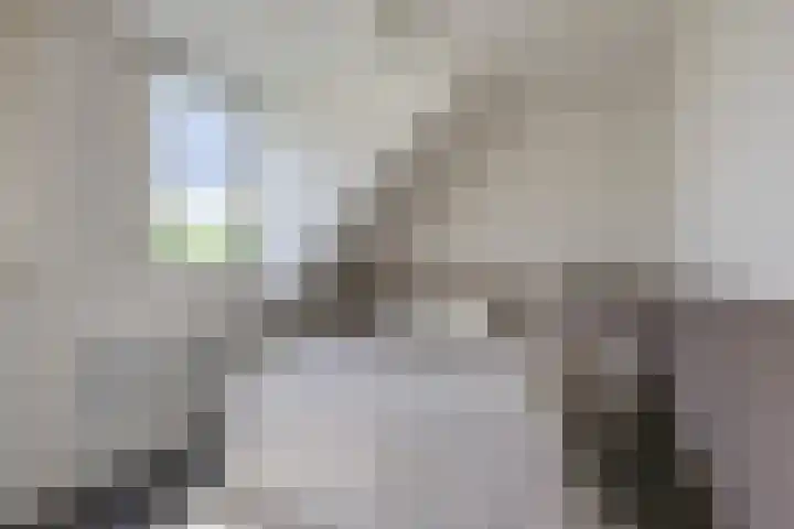 Zuideinde 97 Westzaan thumbnail 26
