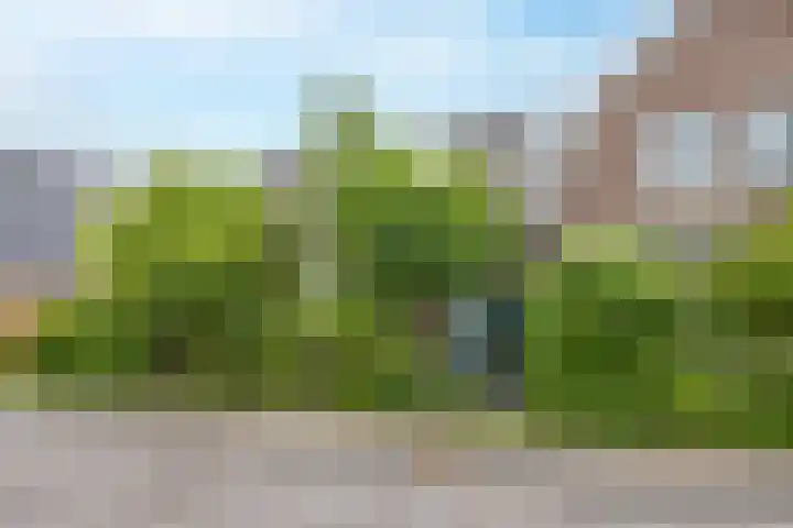 Zuideinde 97 Westzaan thumbnail 33