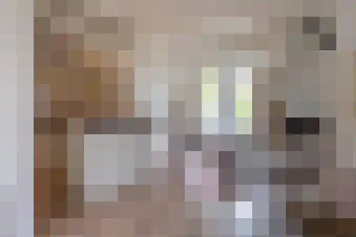 Zuideinde 97 Westzaan thumbnail 5