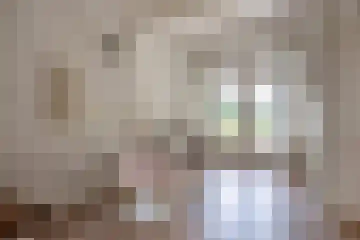 Zuideinde 97 Westzaan thumbnail 6