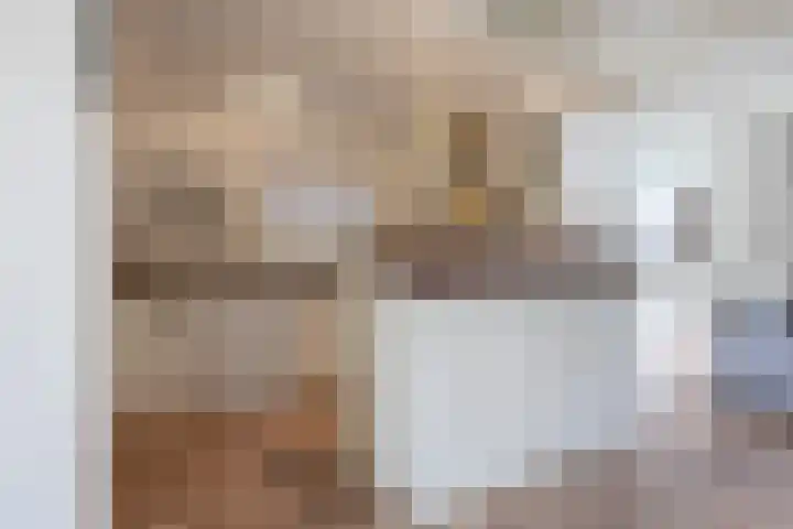 Zuideinde 97 Westzaan thumbnail 8