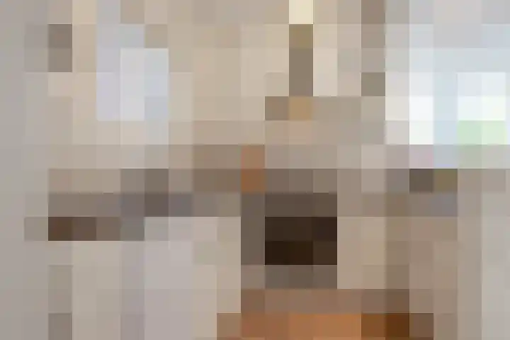Zuideinde 97 Westzaan thumbnail 9