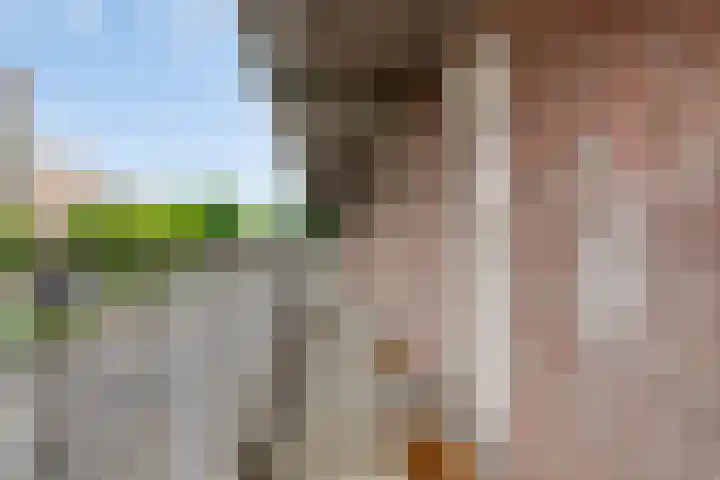 Zuidende 48 Helmond thumbnail 12