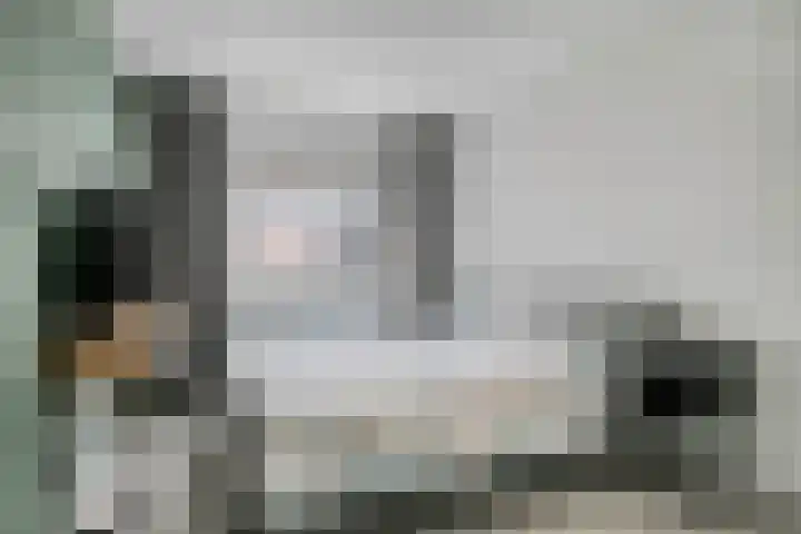 Zuidende 48 Helmond thumbnail 4