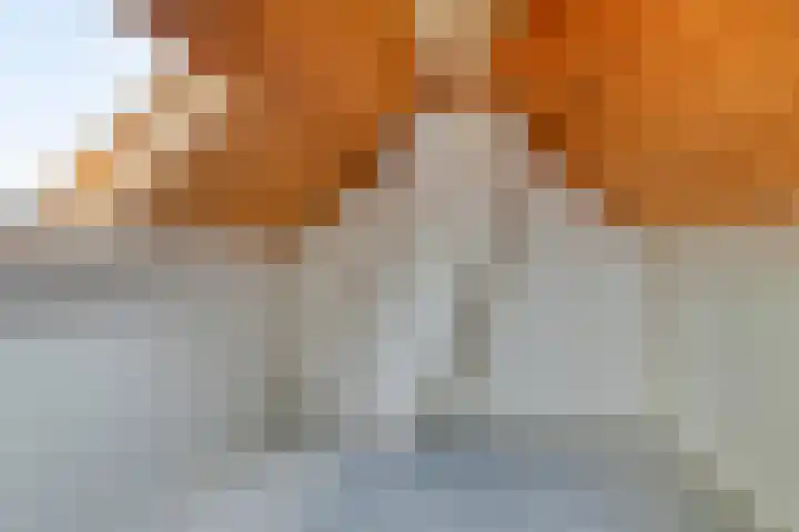 Zuidenveld 2 Roden thumbnail 30