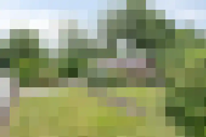 Zuidenveld 2 Roden thumbnail 32