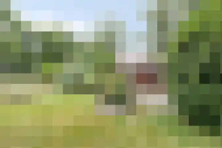 Zuidenveld 2 Roden thumbnail 33