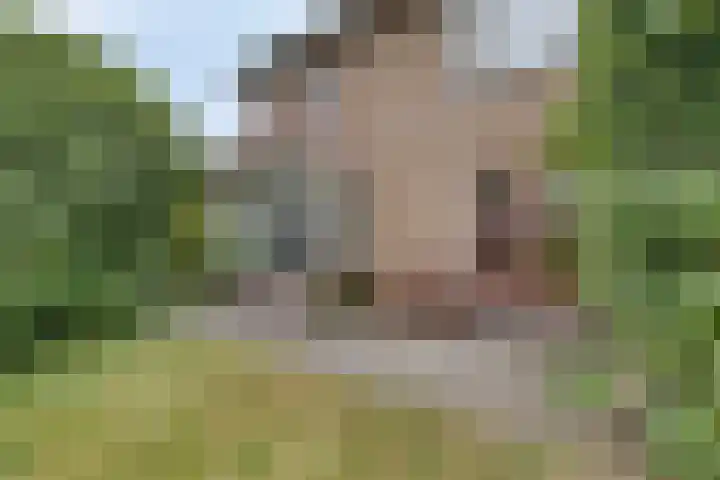 Zuidenveld 2 Roden thumbnail 39