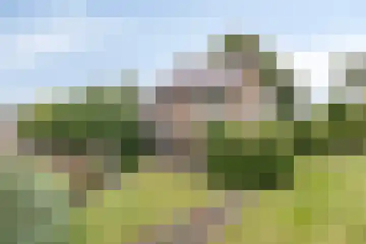 Zuidenveld 2 Roden thumbnail 40
