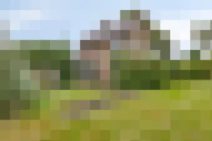 Zuidenveld 2 Roden thumbnail 42