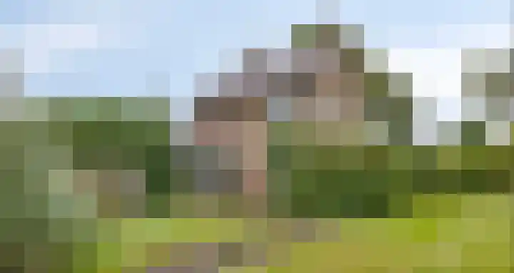 Zuidenveld 2 Roden thumbnail 43