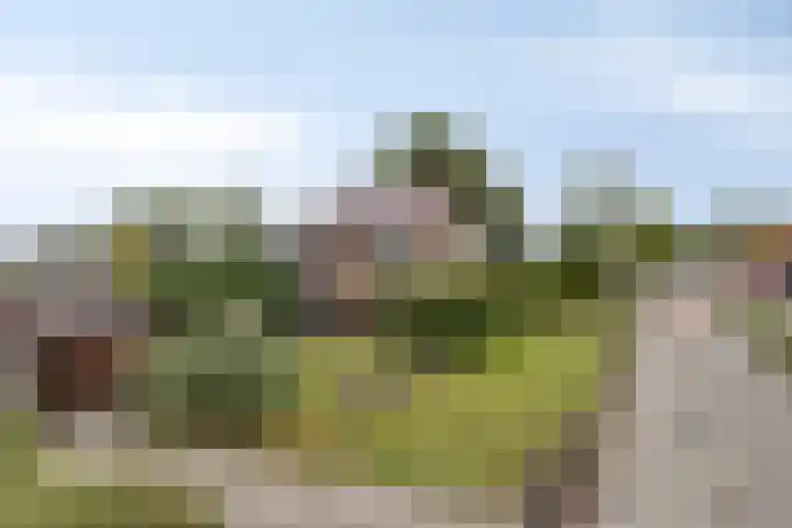 Zuidenveld 2 Roden thumbnail 44