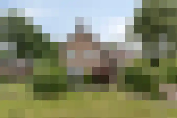 Zuidenveld 2 Roden thumbnail 45
